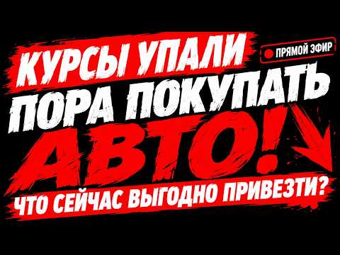 🚗 КУРСЫ УПАЛИ — ПОРА ПОКУПАТЬ АВТО! Что выгодно привезти сейчас?